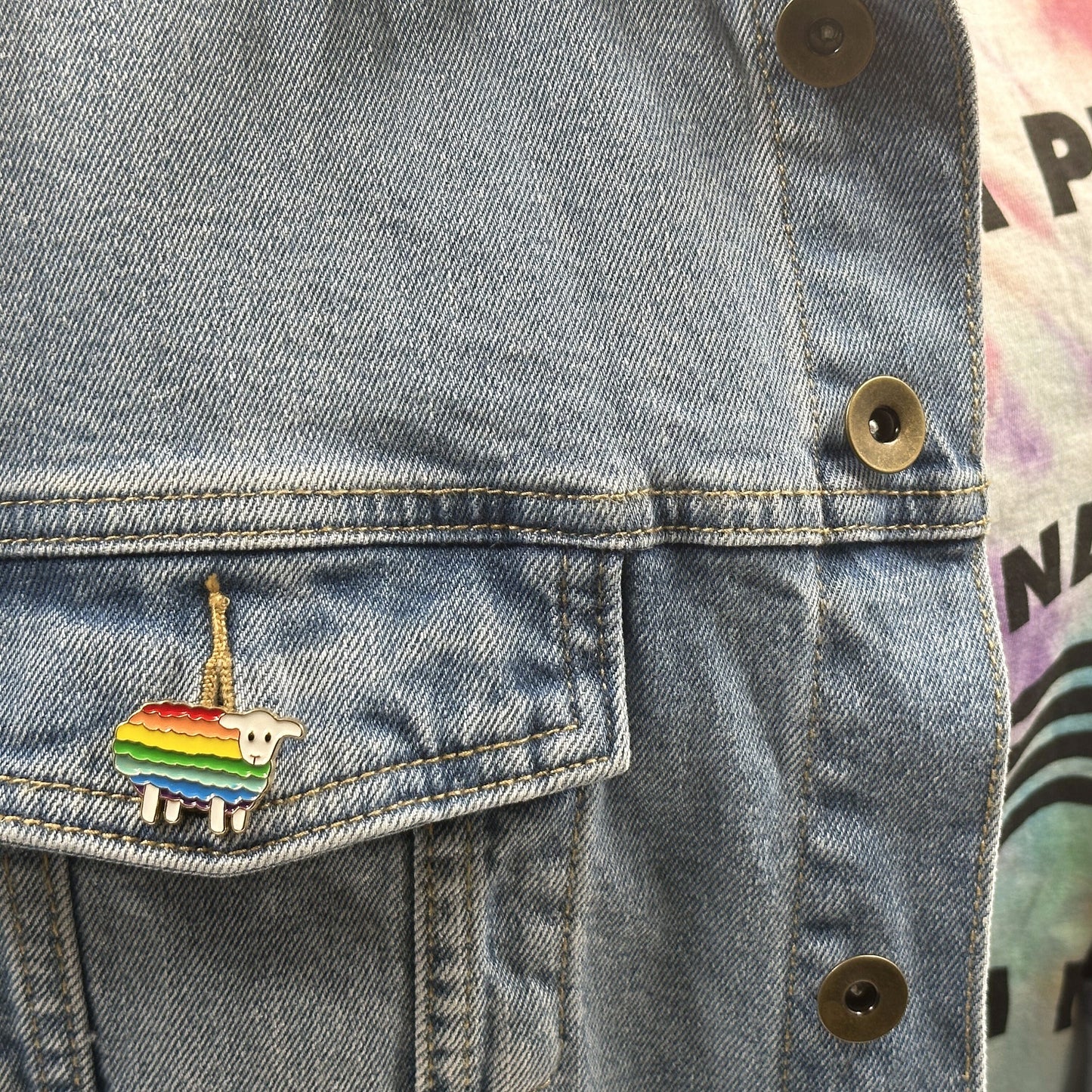 Rainbow Sheep Pin