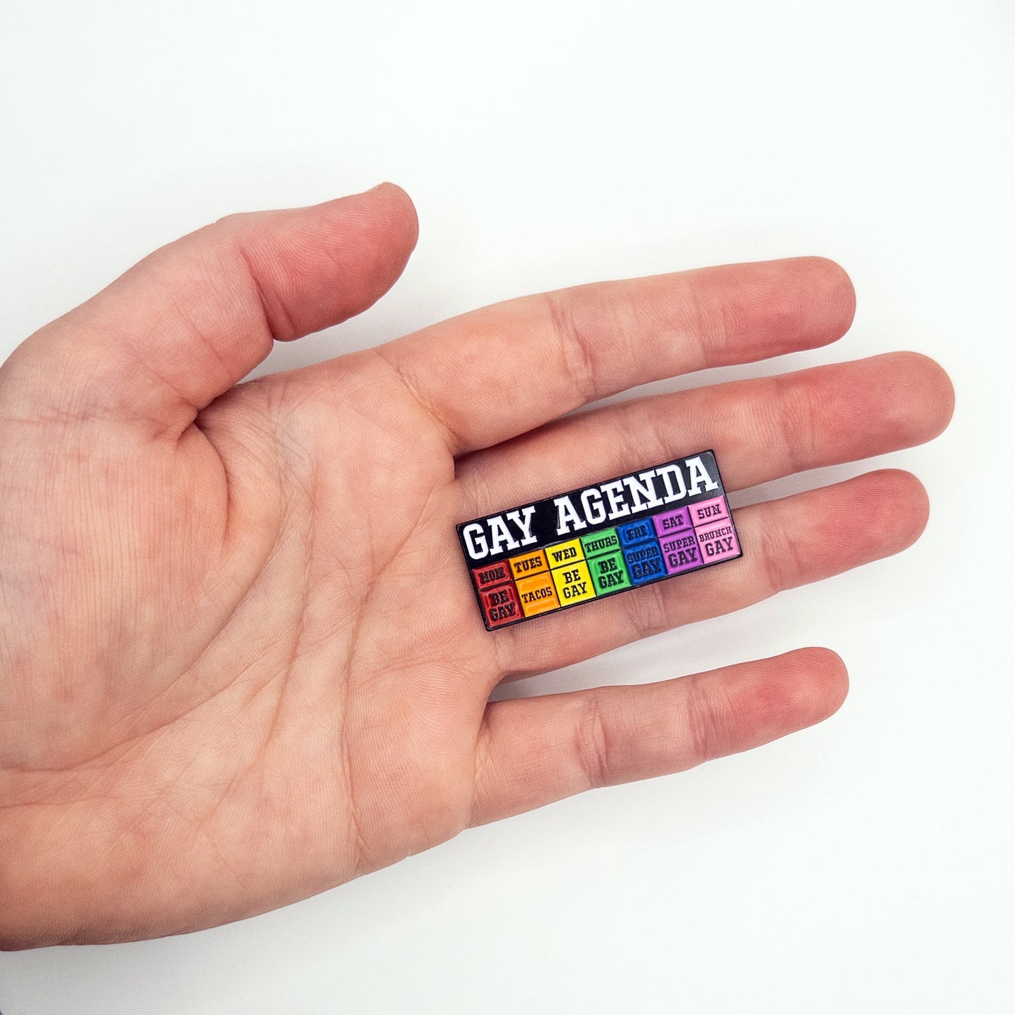 Gay Agenda Pin